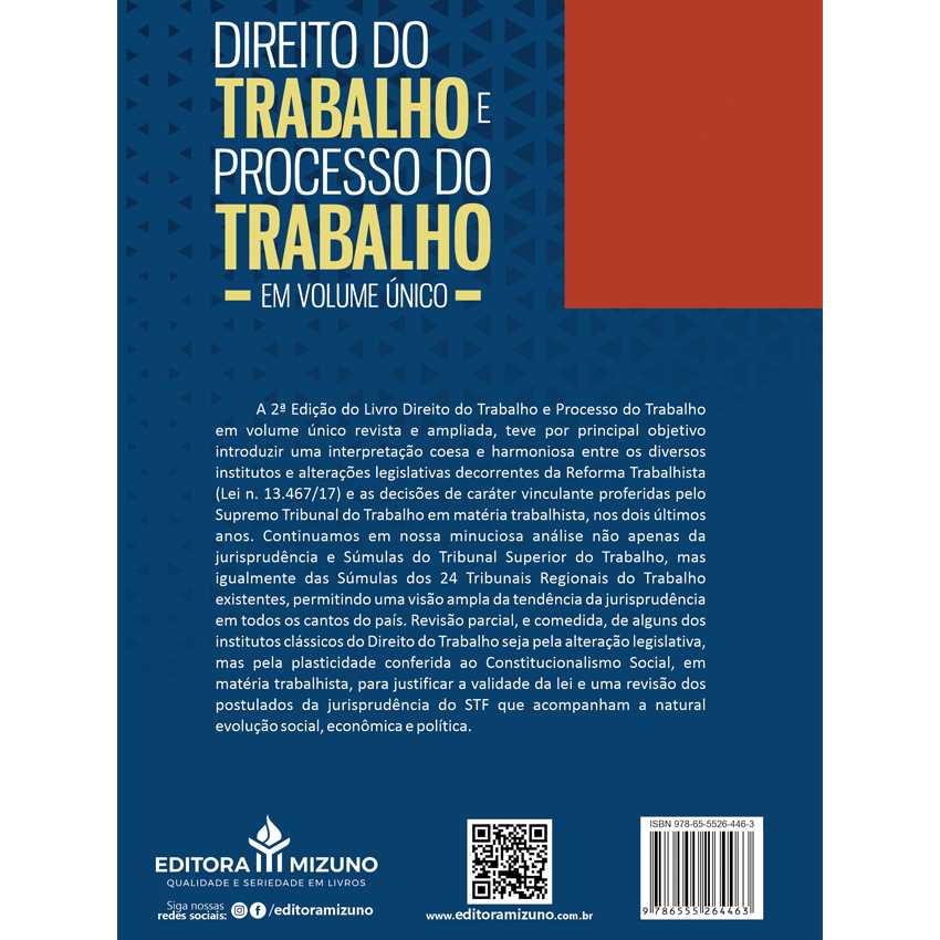 Direito do Trabalho e Processo do Trabalho - 2ª Edição editoramizuno